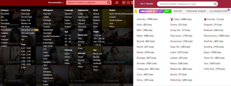 LiveJasmin and BongaCams both have a number of search tools available