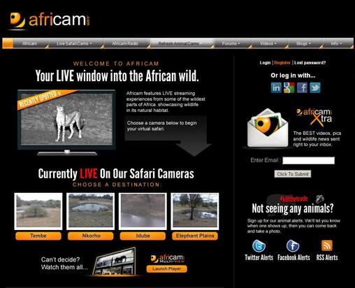 Best Webcam Sites - Expert Live Sex Cam Reviews-1314
