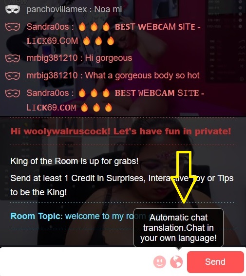 BimBim's reviews of the chat room features
