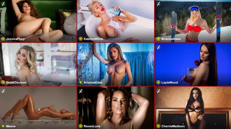 LiveJasmin offers absolute pros as models along with an Amatuer category