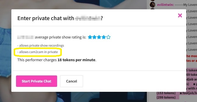 CamSoda's private chat and cam2cam confirmation window