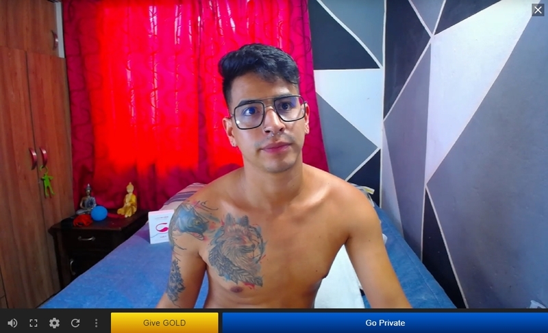 Streamen is a premium gay cam site with twink cam guys doing live sex shows